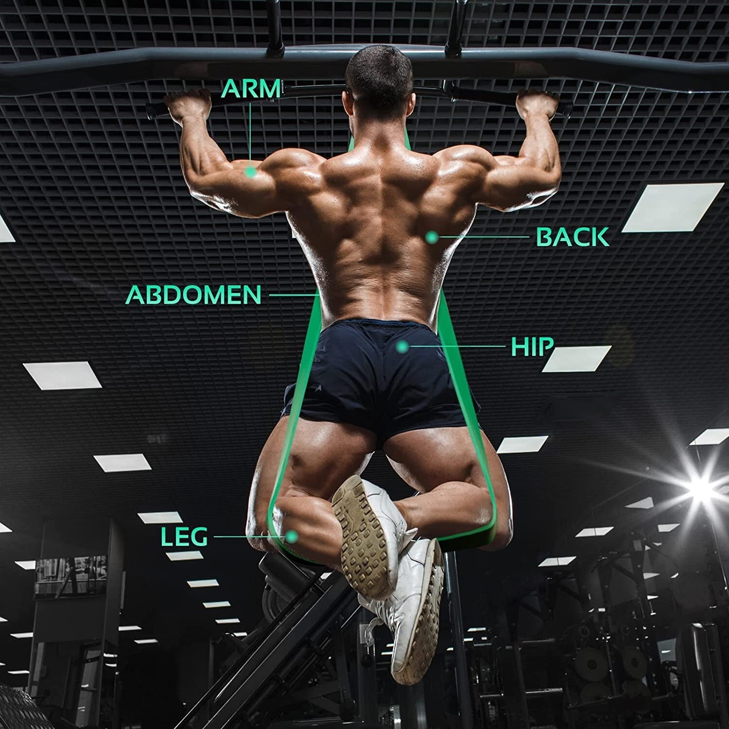 Thefitlife Resistance Pull up Bands - Pull-Up Assist Exercise Bands, Long Workou